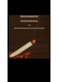 product-img-7
