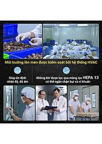 Tỏi Đen Kim Cương Đông Á - Tỏi Đen Cô Đơn (Túi 200g)