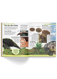 Sách Bách Khoa Cho Trẻ Em - Bách Khoa Động Vật (Tái Bản)