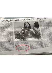 BỘT DƯỠNG HOA TƯƠI LÂU LONGLIFE SG ISRAEL DÀNH SHOP HOA BẢO QUẢN HOA CẮM LẴNG TƯƠI LÂU VÀ HẠN CHẾ THAY HOA ĐỊNH KỲ