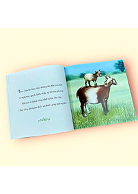 product-img-6
