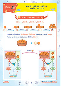 Bài Tập Tuần Toán Lớp 1 - Cánh Diều (Tự Chọn Sách)