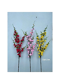 product-img-8