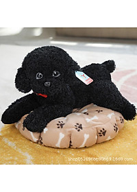 product-img-9