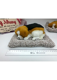 CHÚ CHÓ KHỬ MÙI ĐỂ TRÊN XE HOẶC BÀN LÀM VIỆC