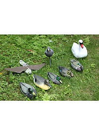 product-img-11