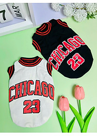product-img-11