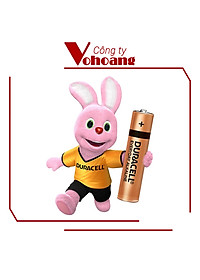 Vỉ 2 VPin AA , Pin AAA DURACELL 1,5V Siêu Bền - Hàng chính hãng
