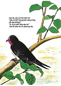 product-img-3