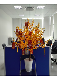 product-img-8