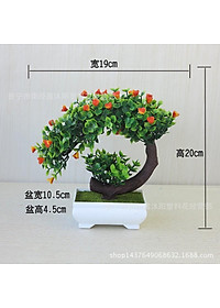 product-img-4