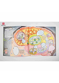 product-img-6