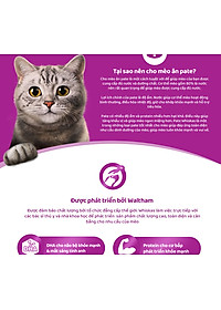 Pate Cho Mèo Con Vị Cá Ngừ Whiskas Kitten Hộp 12 Gói 80g 