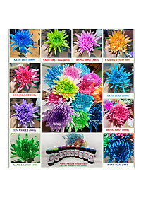 product-img-7