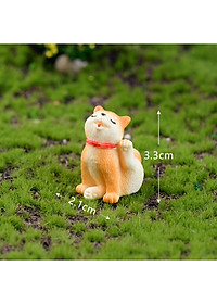 product-img-5