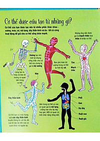 Sách Tương Tác - Big Book - Cuốn Sách Khổng Lồ Về Cơ Thể Người (Tái Bản)