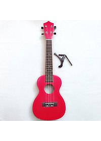 product-img-5
