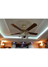 product-img-7