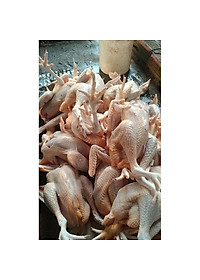 GÀ ta thả vườn con gà có đầu, có chân không lòng (giao tphcm)