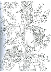 product-img-3