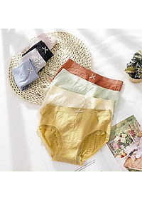 Set 10 chiếc quần lót kháng khuẩn nhăn đẹp ,thông hơi, co dãn 4 chiều cotton mát