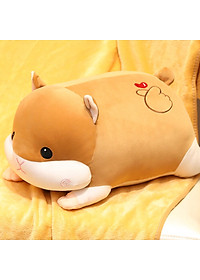 product-img-6