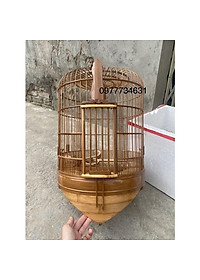 product-img-1