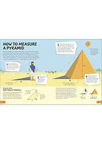 Sách What's the Point of Maths? (Hardback)