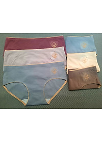 Combo 10 Quần Lót Nữ Cao Cấp O2 - Kháng Khuẩn Chống Viêm - Không Đường May - Freesize ( Màu ngẫu nhiên)
