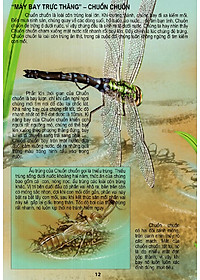 Sách Thế Giới Động Vật Kì Thú - Vườn Côn Trùng