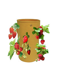 product-img-8
