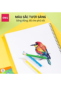 product-img-3
