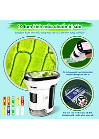 product-img-7