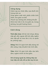 Tinh Dầu Thiên Nhiên TTAUTO Treo Xe ô tô, Treo Tủ Quần Áo, Treo Phòng Giúp Khử Mùi, Thơm Phòng, Thư Giãn Tinh Thần, Chống Say Xe Hiệu Quả - Chai 30ML