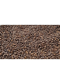 Cafe Hạt - Rang Mộc Nguyên Chất Arabica và Robusta Hảo hạn - A An Coffee