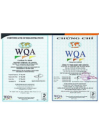 Sandals Vento Nam Quai Chéo Xuất Khẩu dạo phố/đi chơi/đi làm NV25