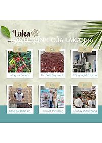 Trà Cà Phê Cascara LAKA Gói 5gr, 100% vỏ cà phê chín mọng Hỗ Trợ Giảm Cân, Ngừa Lão Hóa Và Ổn Định Đường Huyết