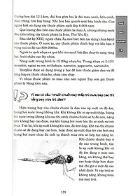 product-img-9