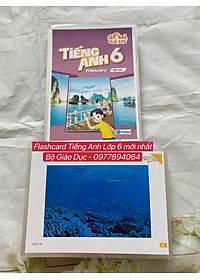 product-img-9