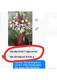 BỘT DƯỠNG HOA TƯƠI LÂU LONGLIFE SG ISRAEL DÀNH SHOP HOA BẢO QUẢN HOA CẮM LẴNG TƯƠI LÂU VÀ HẠN CHẾ THAY HOA ĐỊNH KỲ