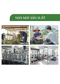 Xịt Phòng Tinh Dầu Sả Chanh Hữu Cơ Organic 24Care 50ML/100ML - Kháng khuẩn - Khử mùi hôi - Đuổi muỗi, kiến ba khoan,Vắt - Côn trùng - Hương thơm thư giãn.