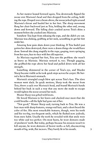 product-img-13