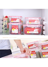 Combo 3 hộp nhựa trong đựng thực phẩm Inomata - Hàng nội địa Nhật Bản