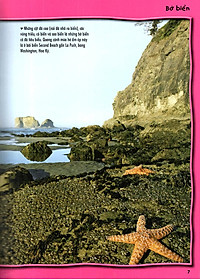 Sách 500 Dữ Kiện Khoa Học Về Đại Dương