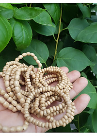 Vòng dâu tằm cho bé sơ sinh  vòng cho cả bé trai và bé gái  Ông bà xưa cho bé đeo vòng dâu tằm tốt, giúp cho bé ngủ không bị giật mình, bụ bẩm ngoan ạ