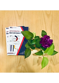 Sách Lập và Phân Tích Báo Cáo Quản Trị