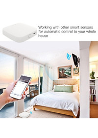 Bộ hub trung tâm Wi-Fi Hub BT Mesh (SIG) cho nhà thông minh  Gateway Tương thích với Alexa Trợ lý Google Đa thiết bị