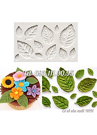 product-img-1