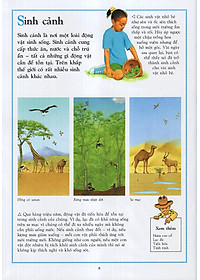 Sách Bách Khoa Động Vật Cho Trẻ Em