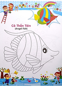 product-img-5